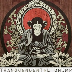 Transcendental Chimp