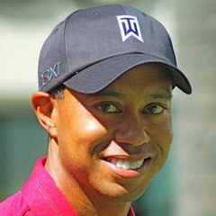 tiger wood