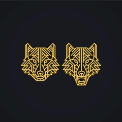 WolfCityMusicCollective