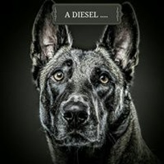 Vassili Léo Zaitsev