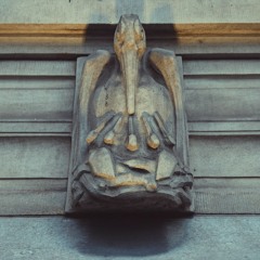 knapwoest