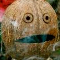 jonny cocono