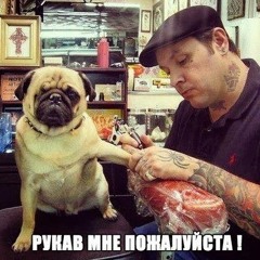 Артур Шибко