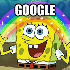 Googel Sponge