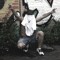 BensenBeats