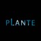 Plante