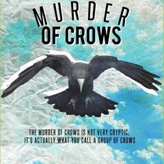 Murder of Crows BK