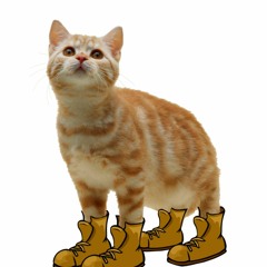 Boots and Cats