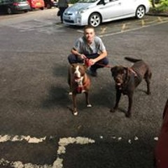 Jake Hommy Homersham