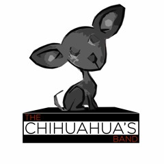 The Chihuahua's Band