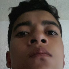miguelsaldaa