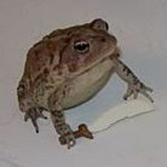 Reflective Retrospectrum