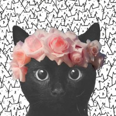 Annisa Devi Lazuardini