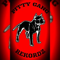 PITTY GANG REKORDZ