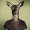 Une Belle Biche