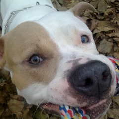 Вадюня Красатуня