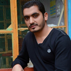 Malik Naveed