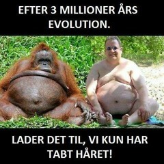 t.j.p