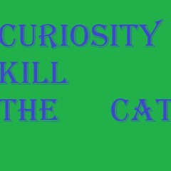 Curiosty Kill The Cat