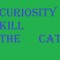 Curiosty Kill The Cat