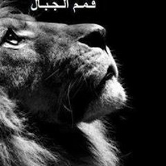 Magdy Mauo