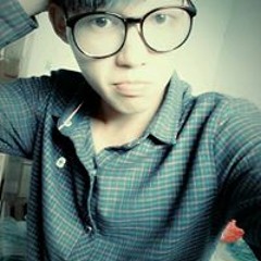 vn house