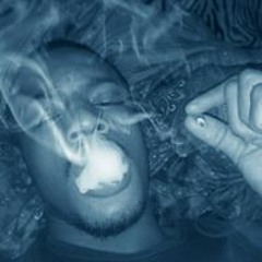 Shofa NoFronts Black