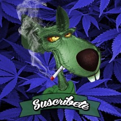 Diego
