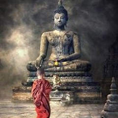 Louis Vui Tươi