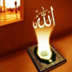 Hamada Mansour Abu Adam