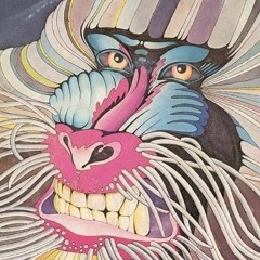 platypunk