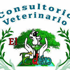 Veterinaria Edén