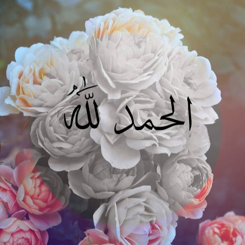 الحلقة الأولى من درس السيرة النبوية للشيخ بدر المشاري (زد رصيدك)