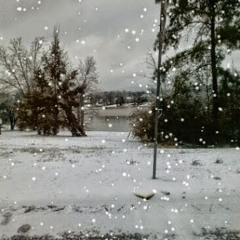 kimberly ann Collins