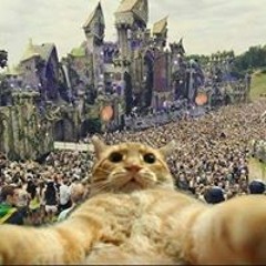 Joseph Gsi Crew Corp