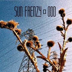 Sun Frenzy