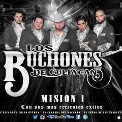 losbuchonesdeculiacan