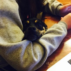 Andrew Hussein Ridley