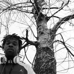 Haze FinessinDaPlugg