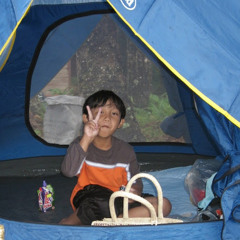 p.dosss
