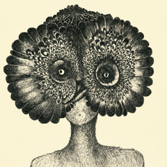 lars wieland