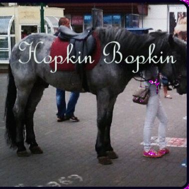 Bopkin Hopkin