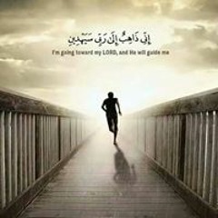 Rofaida Mohamed