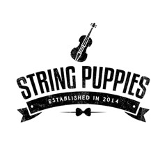 String Puppies