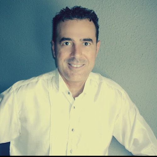 Luis Ginestar’s avatar