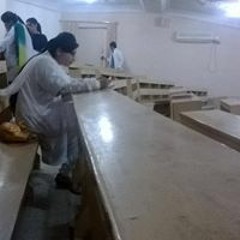 Rabia Mushtaq