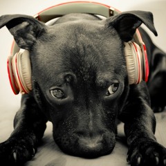 KOSMIC SOUND