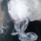 Friedlife kay