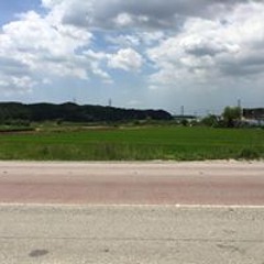 박새한결