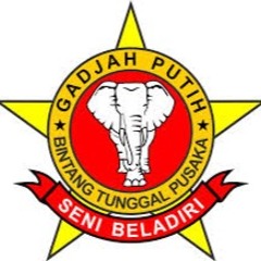 Pencak Silat Rampak Dewasa Putra